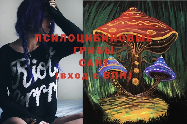 СК Алзамай