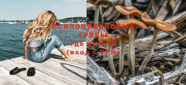СК Алзамай