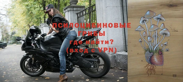 индика Алексеевка