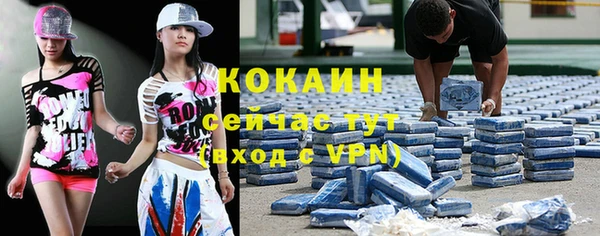 индика Алексеевка