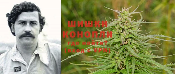 СК Алзамай