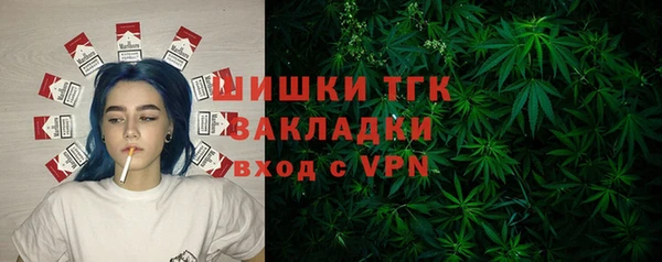 МДПВ Алексин